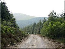 SH9228 : Bend in Forestry Road provides a vista of the shapely Foel Figenau by Eric Jones