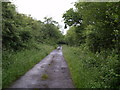 Lane crossing Little Claw Moor