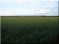 Across the fields towards Spridlington Manor Farm