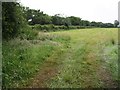 Field at East Down