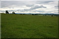 Farmland to the south of Monkland