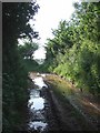 Track near Exbourne