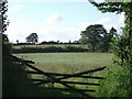 Gateway to field near Exbourne