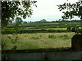 View towards Beaumont  showing series of hedges