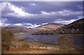 NM9146 : Inlet off Loch Laich by Trevor Rickard