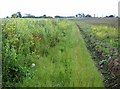 Footpath to Hill Farm