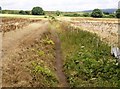 Fallow fields at Pan