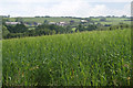 Tinnel Farm from Coombe Lane