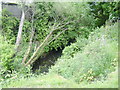 Mill Burn, Yoker