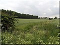 Fields near Sproatley