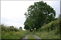 The Ulster Way in north Down (8)