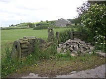 SE1220 : Gateposts at Moor Hey, Fixby (The part now in Calderdale District) by Humphrey Bolton