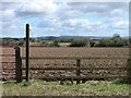 Ploughed Up Public Bridleway, North Otterington