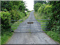 Entrance to Bron-derwgoed