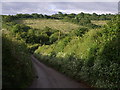 Lane below Brockscombe Cross