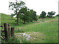 Farmland near Henbury