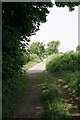 Bridleway east of King Lane, Over Wallop