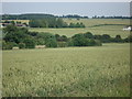 View to Mutfords Farm, Little Hormead