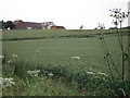 Cottage in farmland at Knights Hill Farm