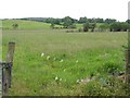 Drumbrick Townland