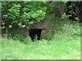 Chambered grave, Drumgowna