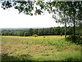 SO9173 : View from Santery Hill Wood by Trevor Rickard