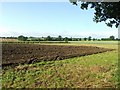 Fields near Horham community centre