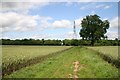 Footpath to Park Farm