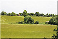 Looking across fields to Rosehill Farm