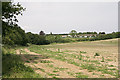 Approaching Craydown Lane on footpath