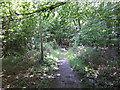 TM1497 : Path in Lower Wood by Jonathan Billinger
