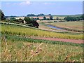 Fields of Clyst Valley, Topsham