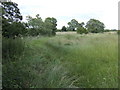 Through long grass to Channel