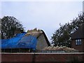 Re-thatching a cottage in Highworth