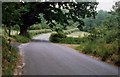 TM2346 : Bealings Road, Kesgrave by Nick Mutton 01329 000000