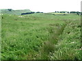 Sike and rough pasture south of Moss Kennels