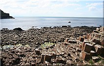 C9444 : Giant's Causeway by Anne Burgess