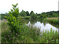 Pool for Anglers, near Codsall, Staffordshire