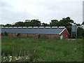 Poultry Shed at Hawkhill