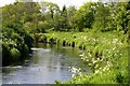 The Clady River near Inishrush