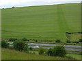 Farmland and the A303, Deptford