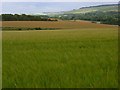 Farmland, Steeple Langford