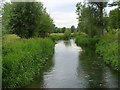 The River Wylye