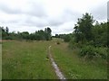 Across the Country Park