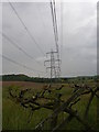 Power lines march through the countryside