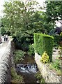 The stream at Tivy Dale