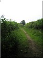 SU2829 : Track near Stride's Farm, Stony Batter by Andy Gryce