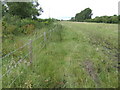 Grazing land by Bear Brook