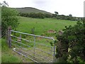 Stroanbrack Townland