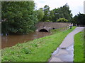 Stray Road Bridge